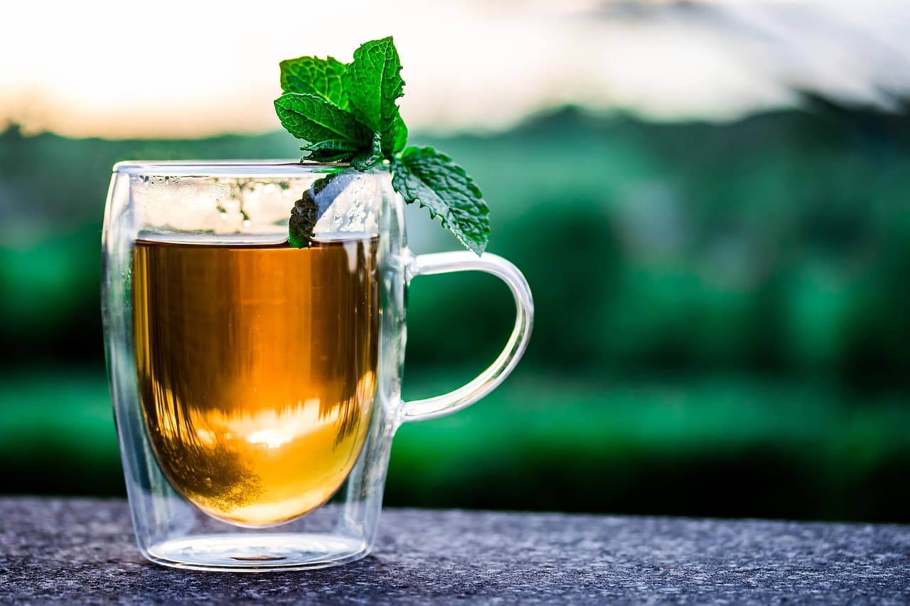 A clear glass mug of peppermint tea with a fresh mint sprig, outdoors in soft evening light