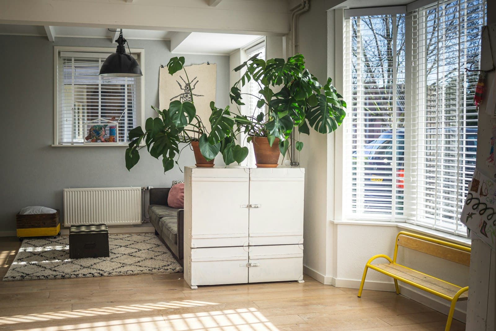 Soft daylight through window blinds in a calm living room with large leafy houseplants on a white cabinet