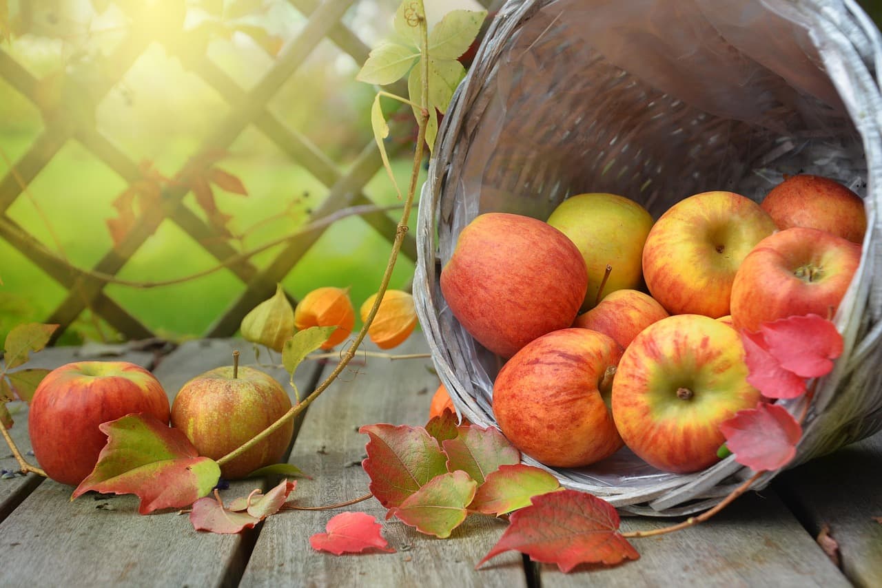 A basket of apples with autumn leaves, photographed in warm natural light