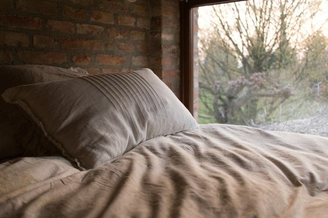 A pillow and pale bedding on a bed beside a sunlit window
