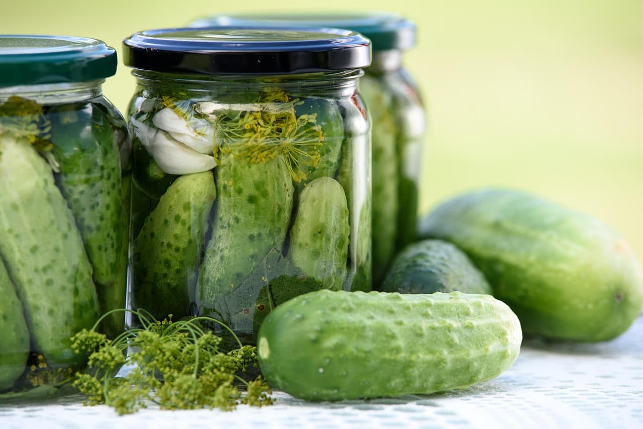 Glass jars of homemade pickled cucumbers with dill