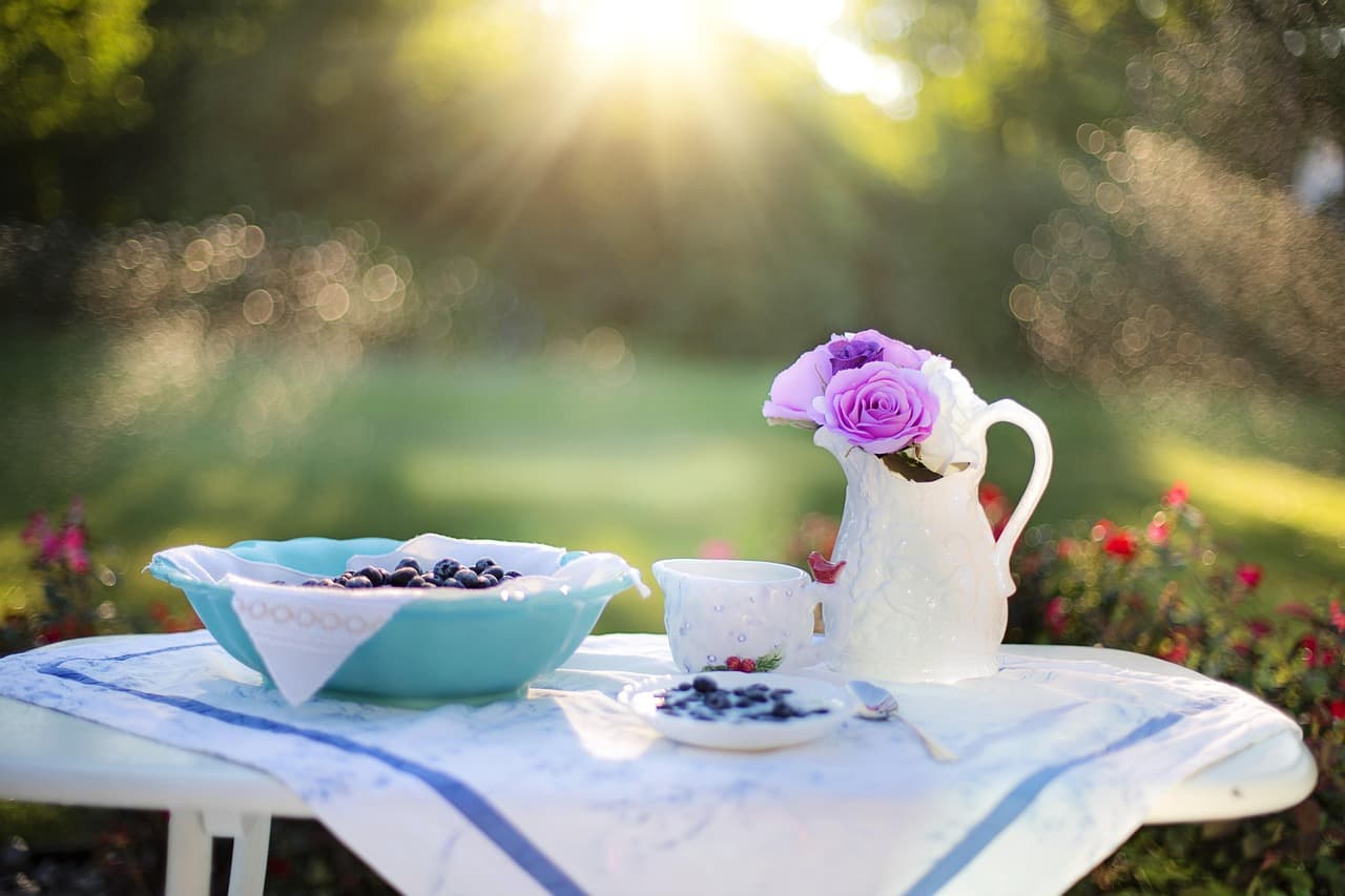 Fresh blueberries on a sunlit breakfast table outdoors